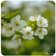 色花堂98堂邀请码怎么获取？色花堂98堂邀请码怎么弄？怎么购买？