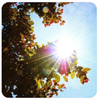 2048核基地激活账号-2048核基地金币-2048核基地威望米粒