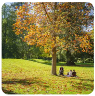 98堂（色花堂）总版规