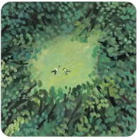 98堂邀请码怎么获取?怎么弄? 色花堂98堂邀请码购买注册指南 | 98堂官方授权