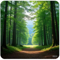 草榴社区冷门知识