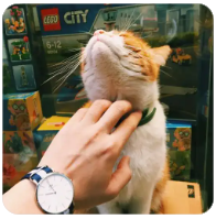 98堂（色花堂）新人必看: 如何签到 | 邀请码如何获取 | 获取金币, 升级阅读权限 | 如何用115网盘, 迅雷, PikPak下载ed2k链接?