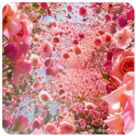 草榴社区科普：从新手到统治者的一站式成长攻略